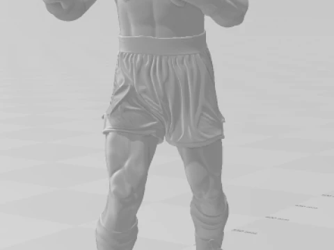 Bonecos 3d style manga anime sylvestre rocky balboa style caricato 3D Print Model