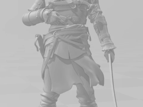 Bonecos 3d style manga anime pirate blackflag edward pirata style caricato 3D Print Model