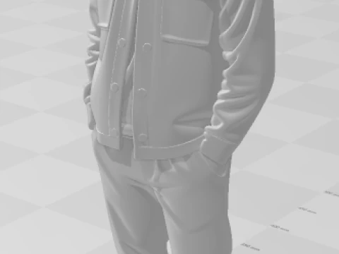 Bonecos 3d style manga anime streamer youtube mr beast style caricato 3D Print Model