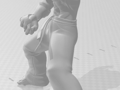 Bonecos 3d style manga anime jin tekken caricato 3D Print Model