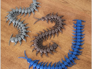 Articulated centipede 3D Model