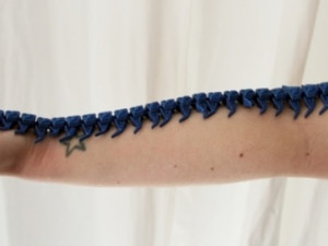 Articulated centipede 3D Model