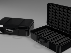 storage case for important things Modelo 3D