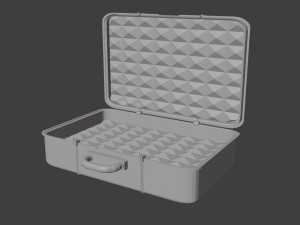 storage case for important things 3Dモデル