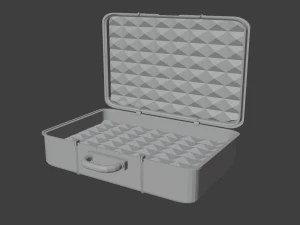 storage case for important things 3D Model