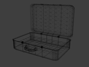 storage case for important things 3D Model