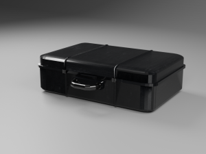 storage case for important things 3Dモデル