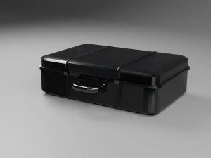 storage case for important things 3D Model