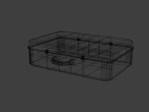 storage case for important things 3D Model