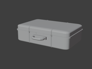 storage case for important things 3Dモデル