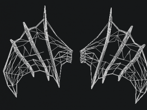 wings 3D Model