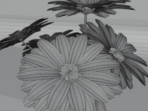 white flowers Modelo 3D