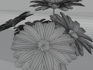white flowers 3D Model