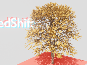 autumn tree fbx 3D Model
