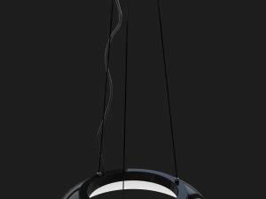 circular ceiling lamp Modèle 3D