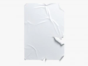 affiche de p&acirc;te de bl&eacute; d&eacute;chir&eacute;e Modèle 3D