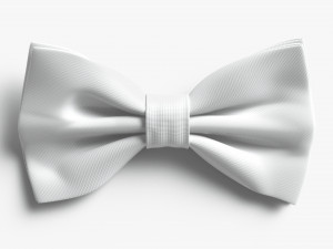 Bow tie 3Dモデル