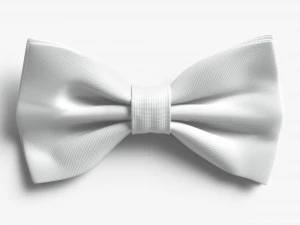 Bow tie 3D Model