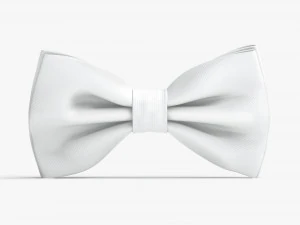 Bow tie 3D Model