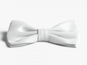 Bow tie 3Dモデル
