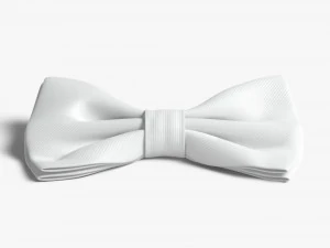 Bow tie 3D Model