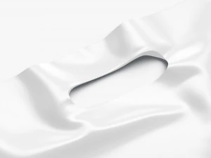 Die-cut plastic bag 3D Model