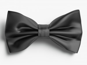 Bow tie black 3D 모델