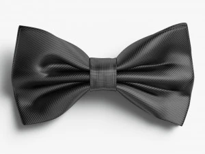 Gravata borboleta preta Modelo 3D