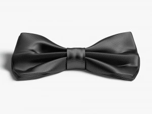 Gravata borboleta preta Modelo 3D