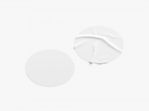 Two White Round Stickers - flat and crumpled adhesive label Modello 3D