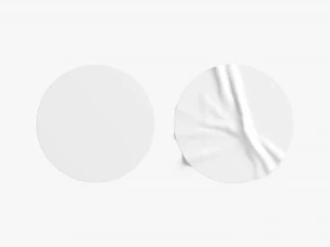 Due adesivi rotondi bianchi - etichetta incollata liscia e rugosa Modello 3D
