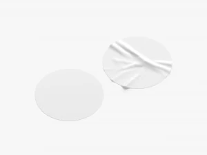 Dois adesivos redondos brancos - etiqueta colada lisa e rugosa Modelo 3D