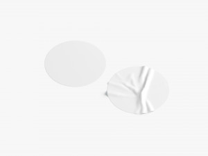 Two White Round Stickers - smooth and rugose glued label 3D Model