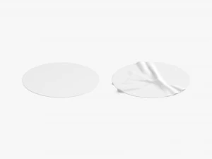 Dois adesivos redondos brancos - etiqueta colada lisa e rugosa Modelo 3D