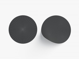 Two Round Stickers - silver smooth and bended adhesive labels 3D Model