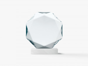 Octagon Glass Award Trophy - crystal plaque trophies 3D Modell