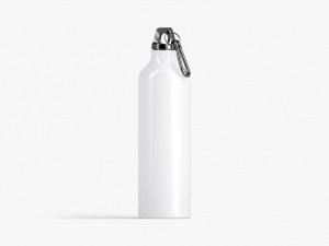Aluminum Sport Bottle - metal water botle with carabiner 3D Model
