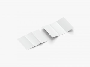2 White Unfolded Booklets and Flyers - flat bifold map leaflet brochure 3D Model