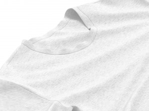 Flat Lay T-shirt - tightened cotton tee-shirt Modello 3D