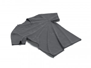 Flat Lay T-shirt - tightened cotton tee-shirt Modello 3D