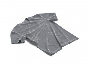 Flat Lay T-shirt - tightened cotton tee-shirt Modello 3D