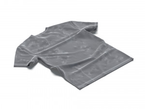 Flat Lay T-shirt front and back - wrinkled fabric tee-shirt Modello 3D
