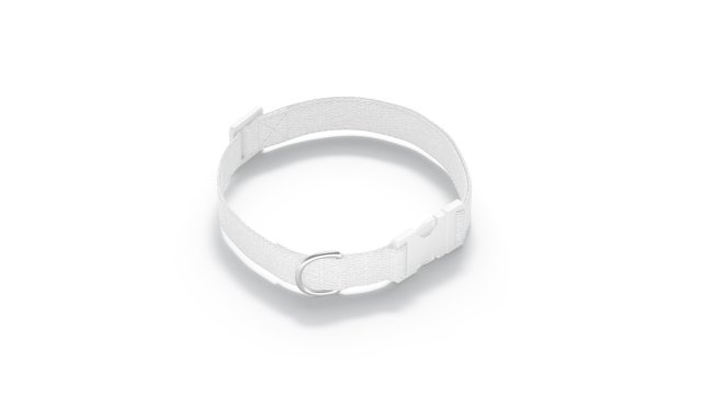 White Dog Collar - nylon pet leash 3D Model .c4d .max .obj .3ds .fbx .stl .blend 