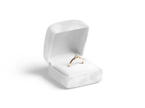 White Wedding Ring Box Set - opened and closed jewelry box Modello 3D