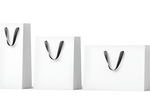 White Paper Gift Bag 3 Type - craft shopping package set 3D Model