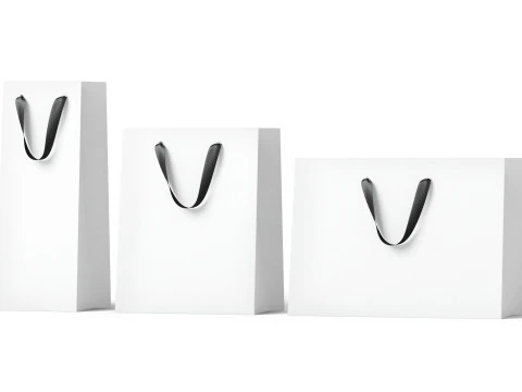 Sac cadeau en papier blanc type 3 - ensemble de paquets d'achats artisanaux Modèle 3D