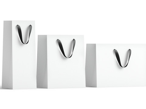 White Paper Gift Bag 3 Type - craft shopping package set Modelo 3D