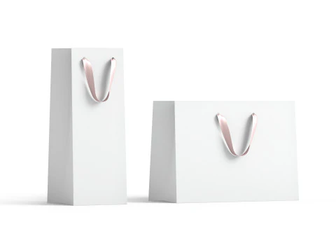 Sac cadeau en papier blanc type 2 - ensemble de packs d'achats artisanaux Modèle 3D