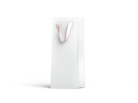 White Paper Gift Bag 2 Type - craft shopping pack set Modelo 3D