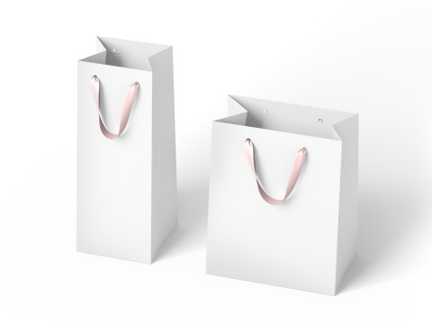 White Paper Gift Bag 2 Type - craft shopping packet set Modello 3D